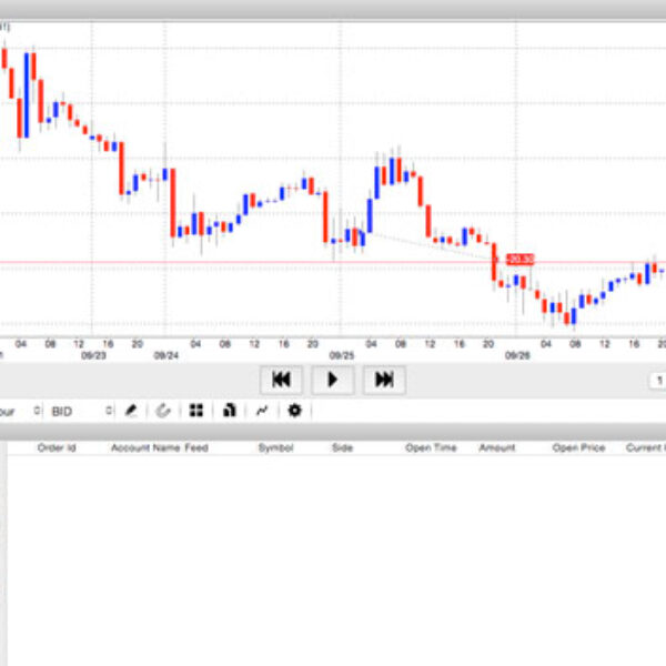 trader-gym-interface-600x600.jpg
